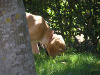 P7310019.JPG - 2005:07:31 11:55:41