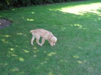 P7310020.JPG - 2005:07:31 11:55:54