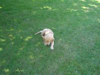 P7310021.JPG - 2005:07:31 11:55:59