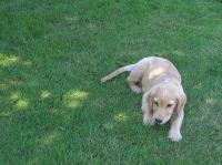 P7310022.JPG - 2005:07:31 11:56:08