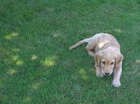 P7310023.JPG - 2005:07:31 11:56:11