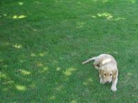 P7310024.JPG - 2005:07:31 11:56:18