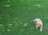 P7310025.JPG - 2005:07:31 11:56:22