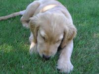 P7310026.JPG - 2005:07:31 11:56:40