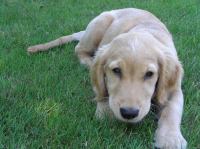 P7310027.JPG - 2005:07:31 11:56:46