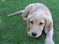 P7310028.JPG - 2005:07:31 11:56:47