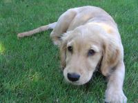 P7310029.JPG - 2005:07:31 11:56:47