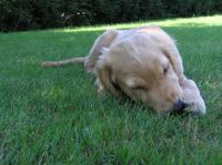 P7310030.JPG - 2005:07:31 11:57:02