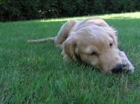 P7310031.JPG - 2005:07:31 11:57:03