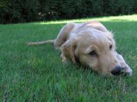 P7310032.JPG - 2005:07:31 11:57:03