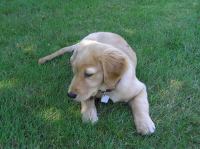 P7310033.JPG - 2005:07:31 11:57:19