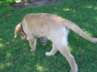 P7310034.JPG - 2005:07:31 11:57:24