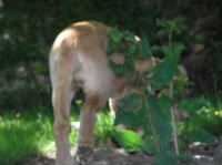 P7310035.JPG - 2005:07:31 11:57:30