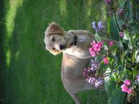 P7310036.JPG - 2005:07:31 12:11:21