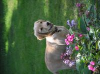 P7310037.JPG - 2005:07:31 12:11:21