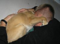 P8010041.JPG - 2005:08:01 20:54:18