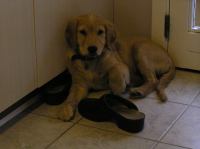 P8030044.JPG - 2005:08:03 20:06:07