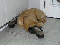 P8030045.JPG - 2005:08:03 20:06:14