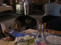 P8060048.JPG - 2005:08:06 19:39:47