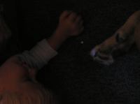 P8070093.JPG - 2005:08:07 10:16:32