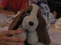 P8070096.JPG - 2005:08:07 10:22:25