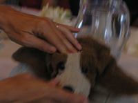 P8070097.JPG - 2005:08:07 10:22:43