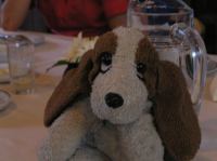 P8070099.JPG - 2005:08:07 10:22:49