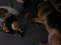 P8070087.JPG - 2005:08:07 10:15:50