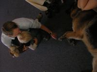 P8070088.JPG - 2005:08:07 10:16:00