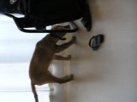 P8090168.JPG - 2005:08:09 08:14:45