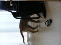 P8090169.JPG - 2005:08:09 08:14:45