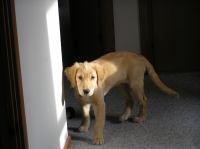 P8090170.JPG - 2005:08:09 08:15:43