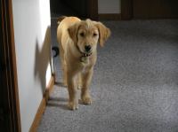 P8090172.JPG - 2005:08:09 08:15:46