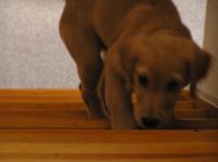 P8090176.JPG - 2005:08:09 08:17:47