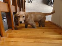 P8090177.JPG - 2005:08:09 08:17:54