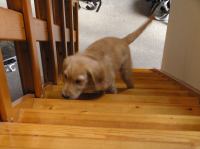 P8090178.JPG - 2005:08:09 08:17:55