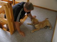 P8090179.JPG - 2005:08:09 08:19:48