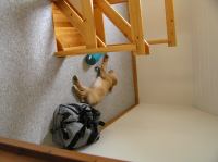 P8090180.JPG - 2005:08:09 08:30:36