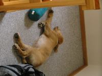 P8090181.JPG - 2005:08:09 08:30:41