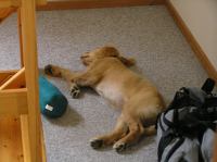 P8090182.JPG - 2005:08:09 08:30:45