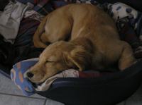 P8090183.JPG - 2005:08:09 17:46:19