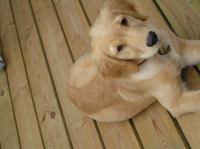 P8090189.JPG - 2005:08:09 18:19:40