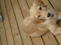 P8090190.JPG - 2005:08:09 18:19:41