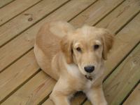 P8090191.JPG - 2005:08:09 18:19:46