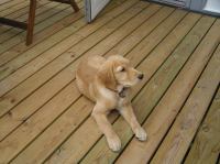 P8090192.JPG - 2005:08:09 18:19:52