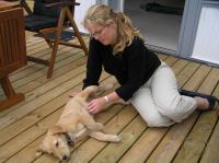 P8090197.JPG - 2005:08:09 18:20:37