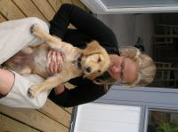 P8090212.JPG - 2005:08:09 18:22:01