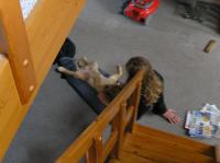 P8100002.JPG - 2005:08:10 10:10:57