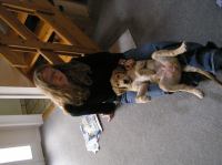 P8100005.JPG - 2005:08:10 10:11:18