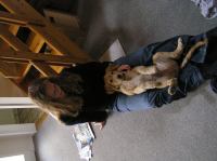 P8100009.JPG - 2005:08:10 10:11:30